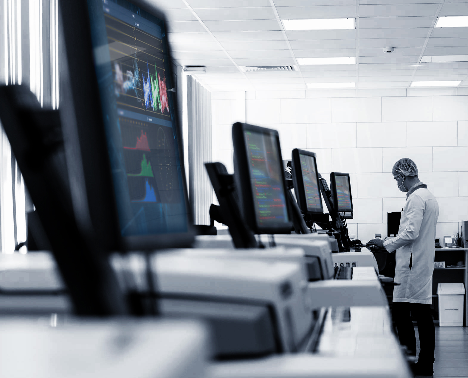 Sectores principales